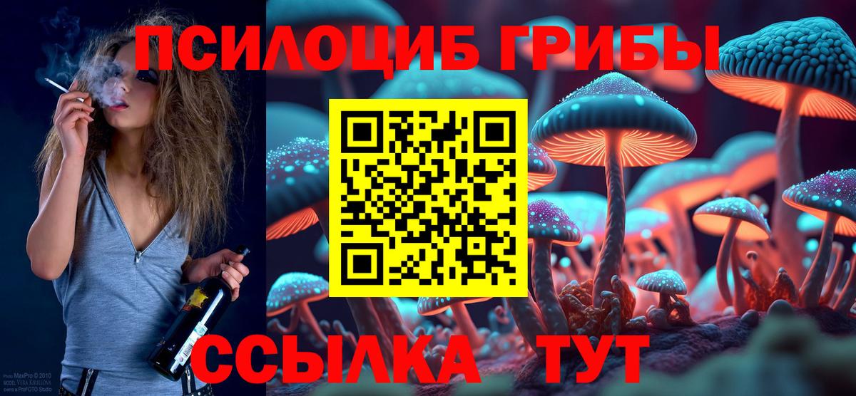 Псилоцибиновые грибы Psilocybe  Вход с VPN  Партизанск 